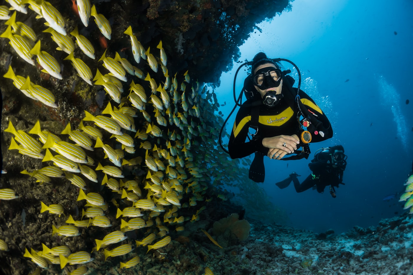 Diver among fish schools