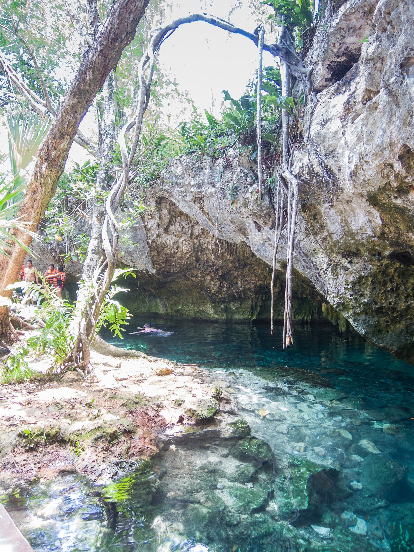 Gran Cenote with crystal-clear water